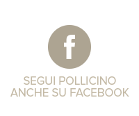 Segui Pollicino su Facebook